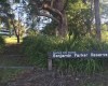Looking up towards the entrance to Benjamin Parker Reserve
