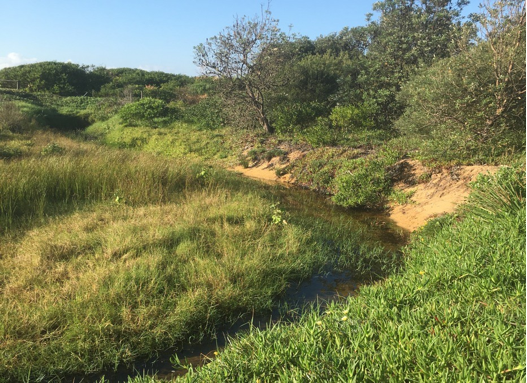 Open drain into Lagoon near the showers