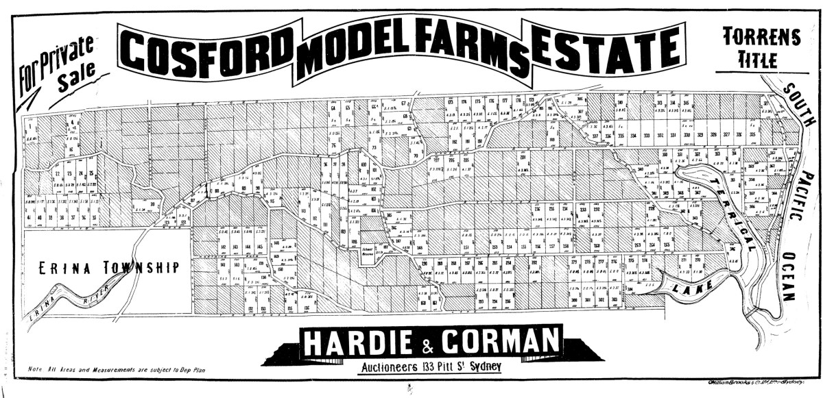 Old advertisement and map of lots for sale in the Wamberal area