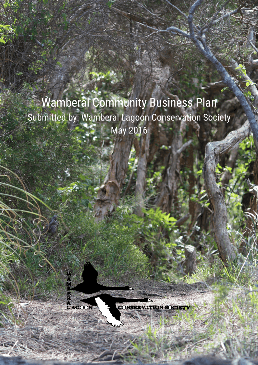 WLCS Business Plan 10 May 2016 1-min