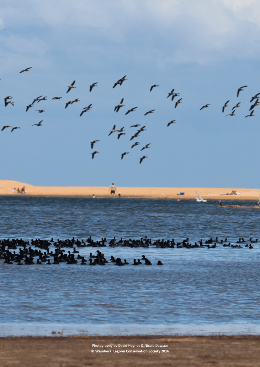 WLCS Business Plan 10 May 2016 17-min