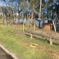 Terrigal Lagoon – Council’s alternative to Benjamin Parker Reserve is sewage and open flood drains 1