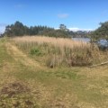 Terrigal Lagoon – Council’s alternative to Benjamin Parker Reserve is sewage and open flood drains 2