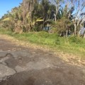 Terrigal Lagoon – Council’s alternative to Benjamin Parker Reserve is sewage and open flood drains 7